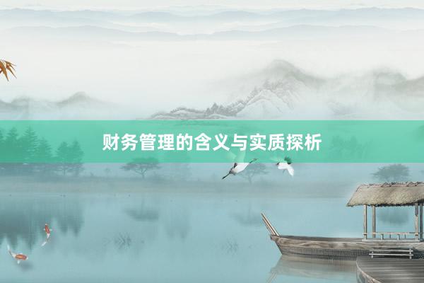 财务管理的含义与实质探析