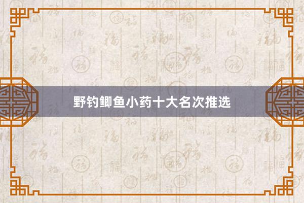 野钓鲫鱼小药十大名次推选