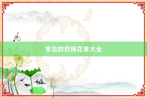 常见的药用花草大全