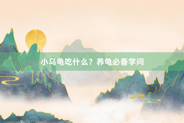 小乌龟吃什么?养龟必备学问